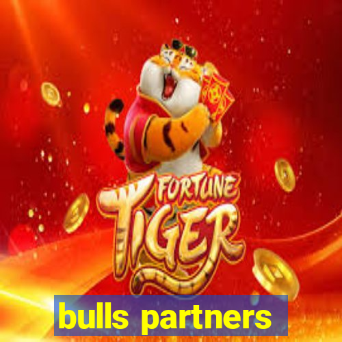 bulls partners